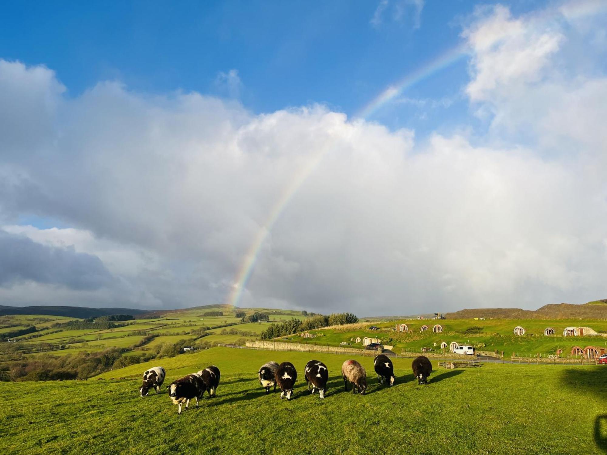 Shepherds View Rhayader Exterior photo